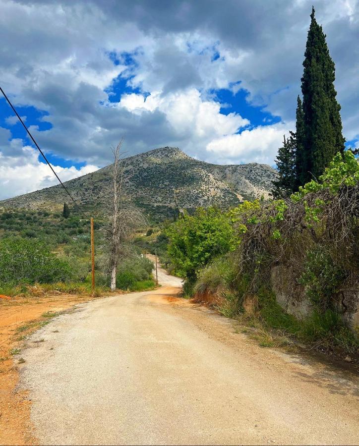 Sunny House At Ancient Mycenae, Close To Nafplio! Mykines Eksteriør billede
